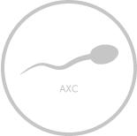 sperm_AXC