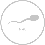sperm_NHU